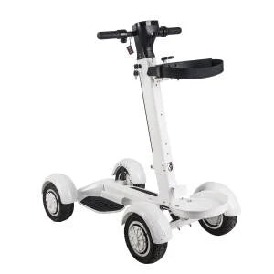 GT-ER (E-Rider) foldable electric golf scooter